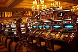 t55 bet t55 bet